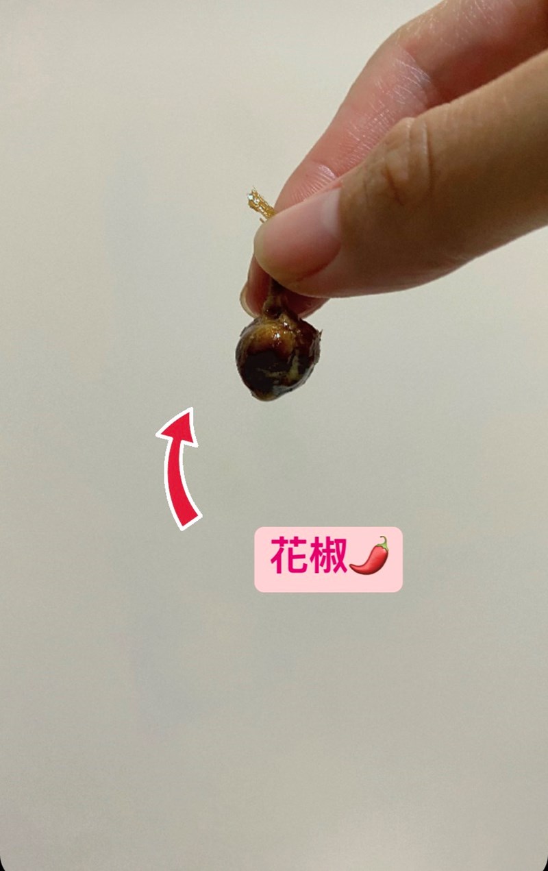 試用